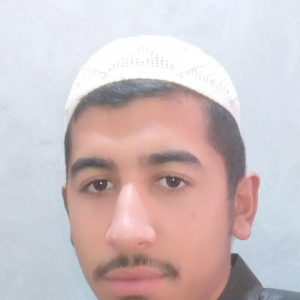 Ibrar Ahmad-Freelancer in ,Pakistan