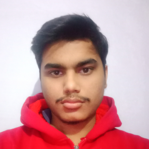 Kshitij Kumar-Freelancer in Pune,India