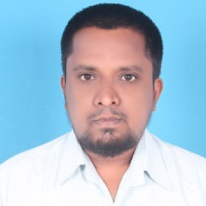 Syed Basha-Freelancer in ,India