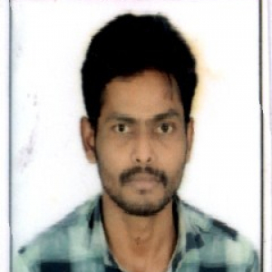 Ramesh B-Freelancer in MYLAVARAM,India