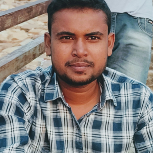 Meraj Alam-Freelancer in Patna,India