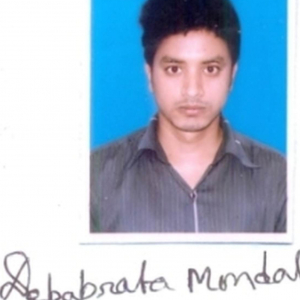 Debabrata Mondal-Freelancer in ,India