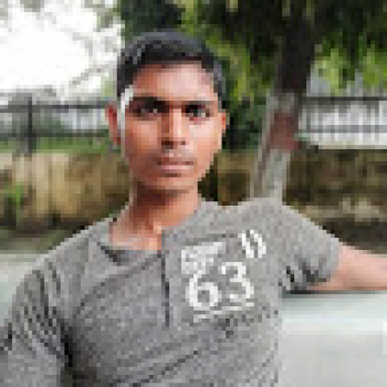 Dash Ing-Freelancer in ,India