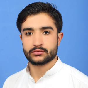 Jawher Ali-Freelancer in Parachinar,Pakistan