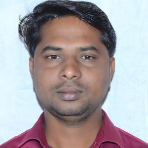 Ravi Pandit-Freelancer in Nagpur,India