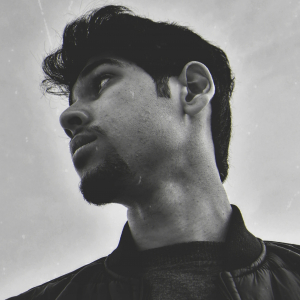 Vylaren Studio-Freelancer in ,Algeria