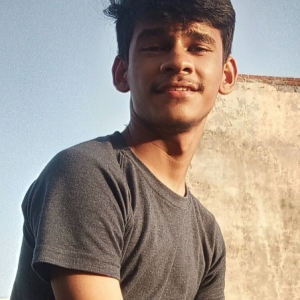 Harshit Bajeta-Freelancer in ,India