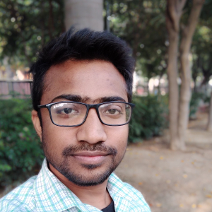 Pankaj Baghel-Freelancer in Noida,India