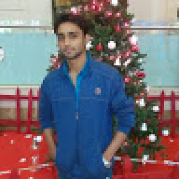 Munsaf Ali-Freelancer in Moradabad,India