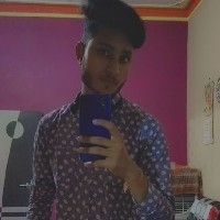 Shivam Meena-Freelancer in ,India