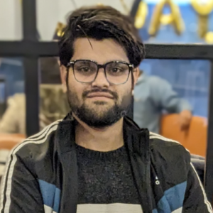 Lokesh Meena-Freelancer in ujjain,India