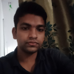 Hussain Sabri-Freelancer in Ponda,India