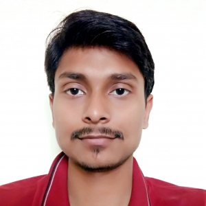 Vimlendra Pratap Singh-Freelancer in Agra,India
