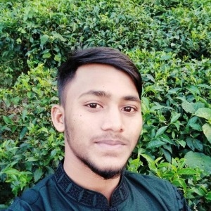 Md Rubel-Freelancer in Sylhet,Bangladesh