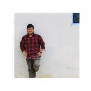 Alok Nath-Freelancer in Bengaluru,India