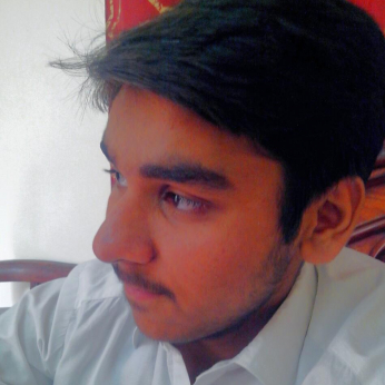 Naimatullah Shaikh-Freelancer in shikarpur sindh,Pakistan