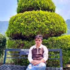 Ashim Sapkota-Freelancer in Banepa,Nepal