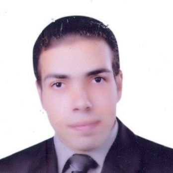 Ahmed Shawy-Freelancer in Damietta,Egypt