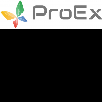 Proex Consulting-Freelancer in Ahmedabad,India