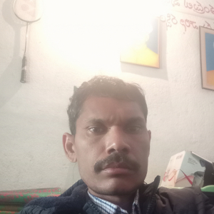 Ramanjaneyulu Pikkili-Freelancer in DHONE,India