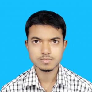 Md Arif Raza-Freelancer in ,India