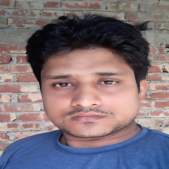 Md Mahmudul Hasan-Freelancer in Gaibandha,Bangladesh
