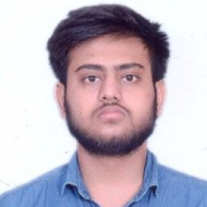 Anshul Mittal-Freelancer in Agra,India