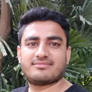 Dinesh Kumar-Freelancer in Chandigarh,India