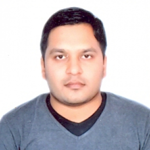 Prabhakar Bharti-Freelancer in Bhopal,India