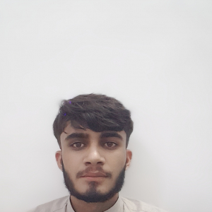 Arslan Ahmad-Freelancer in Muzaffargarh,Pakistan
