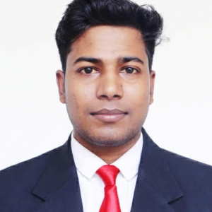 Sanjay Bain-Freelancer in ,India