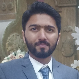 Moiz Hassnat-Freelancer in Lahore,Pakistan