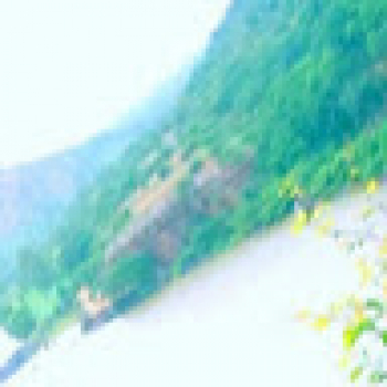 Anish S-Freelancer in ,India