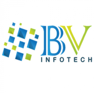 BV Infotech-Freelancer in Vadodara,India