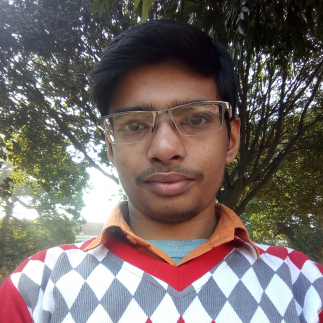 Ankit Verma-Freelancer in New Delhi,India