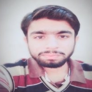 Muhammad Haseeb-Freelancer in Sahiwal,Pakistan