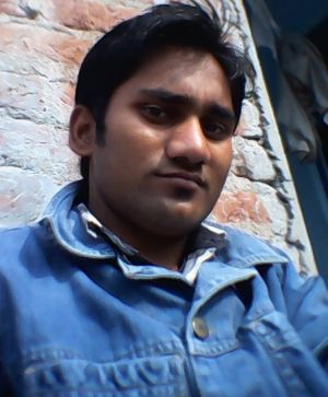 Vijay Pratap-Freelancer in Delhi,India