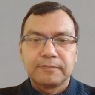 Sudeepto Dhar-Freelancer in ,India