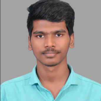 Dhamodaran P-Freelancer in Vellore,India