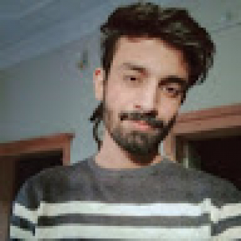 Muhammad Hamza-Freelancer in ,Pakistan