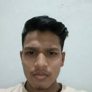 Aman Bebarta-Freelancer in Uttar Pradesh, Ghaziabad,India