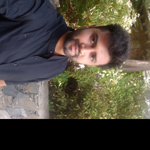 Ketan Mehta-Freelancer in ,India