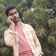 Ujjawal Chaudhary-Freelancer in ,India