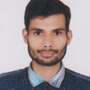Akshay Meshram-Freelancer in Nagpur,India