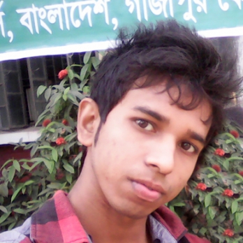 Md Rakibul Islam-Freelancer in Dhaka,Bangladesh