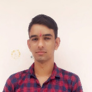 Sumit Choudhary-Freelancer in Jaipur,India