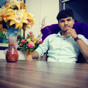 Hardik Chandegara-Freelancer in ,India