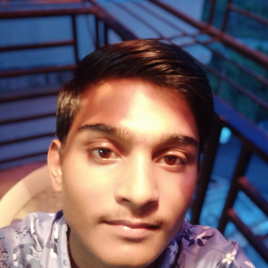 Ritesh Pawar-Freelancer in Kalyan,India