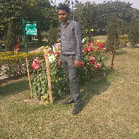 Satvir Saha-Freelancer in Suriya,India