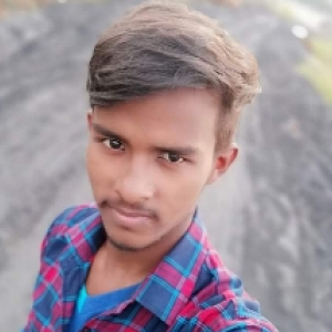 Bikash Chandra Malik-Freelancer in Bhadrak,India
